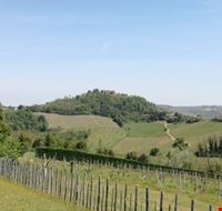 Castello di Montecalvo panorama ridotta.jpg Castello di Montecalvo panorama ridotta.jpg
